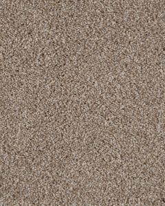 Value 42 Shoreline Textured Everstrand 42oz Carpet