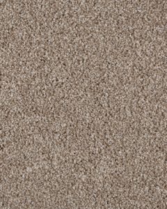 Value 60 Shoreline Textured Everstrand 57oz Carpet
