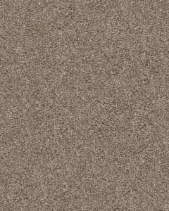 Yes You Can III Cameo Carpet