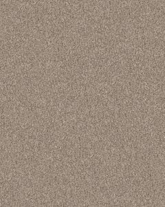 Confidence II Natural Textured Carpet