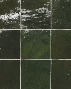 Zagora Vert Mousse Glossy Glazed Ceramic 4x4" Field Tile