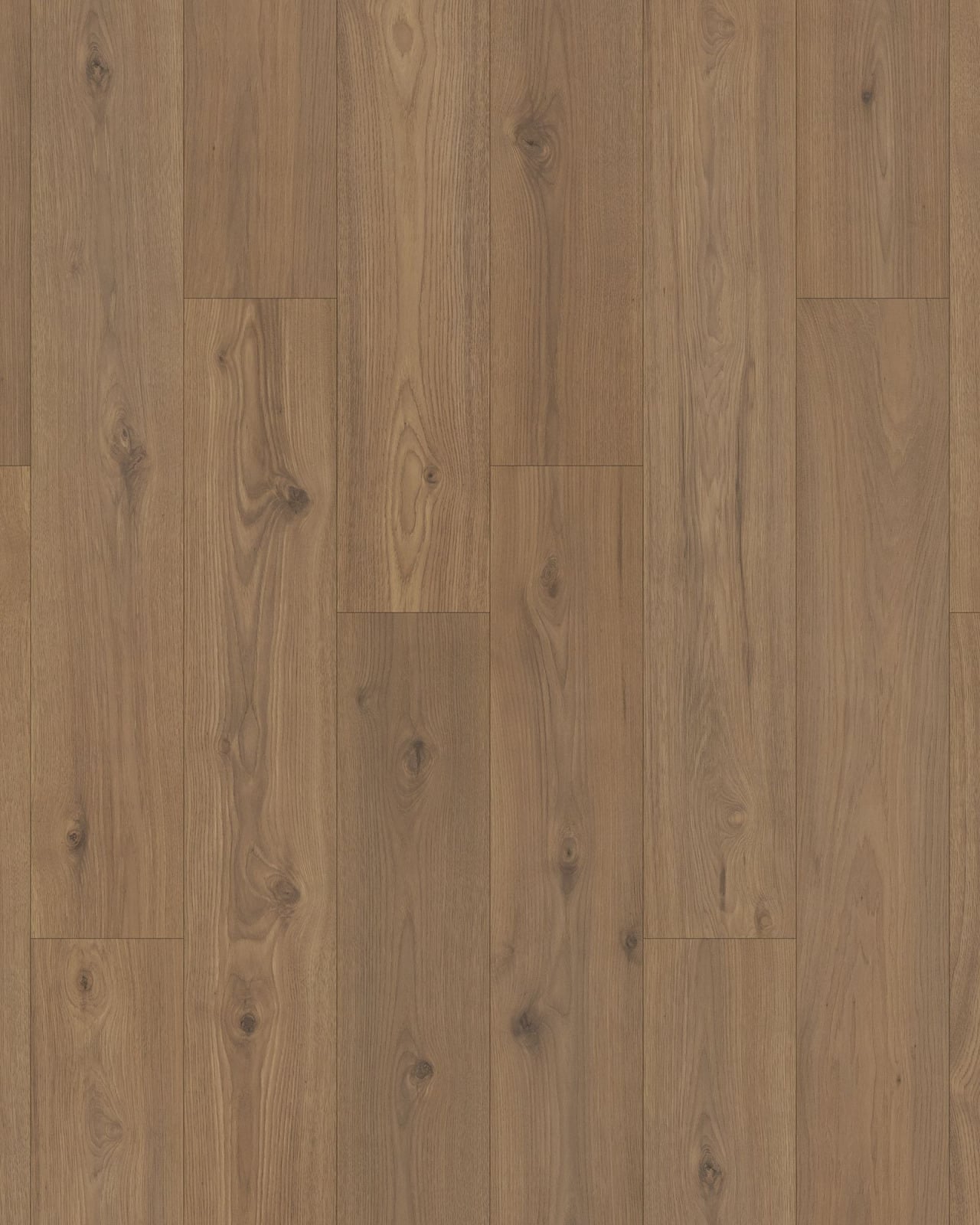 Pergo Freywood Springs Hazelnut Hickory Laminate