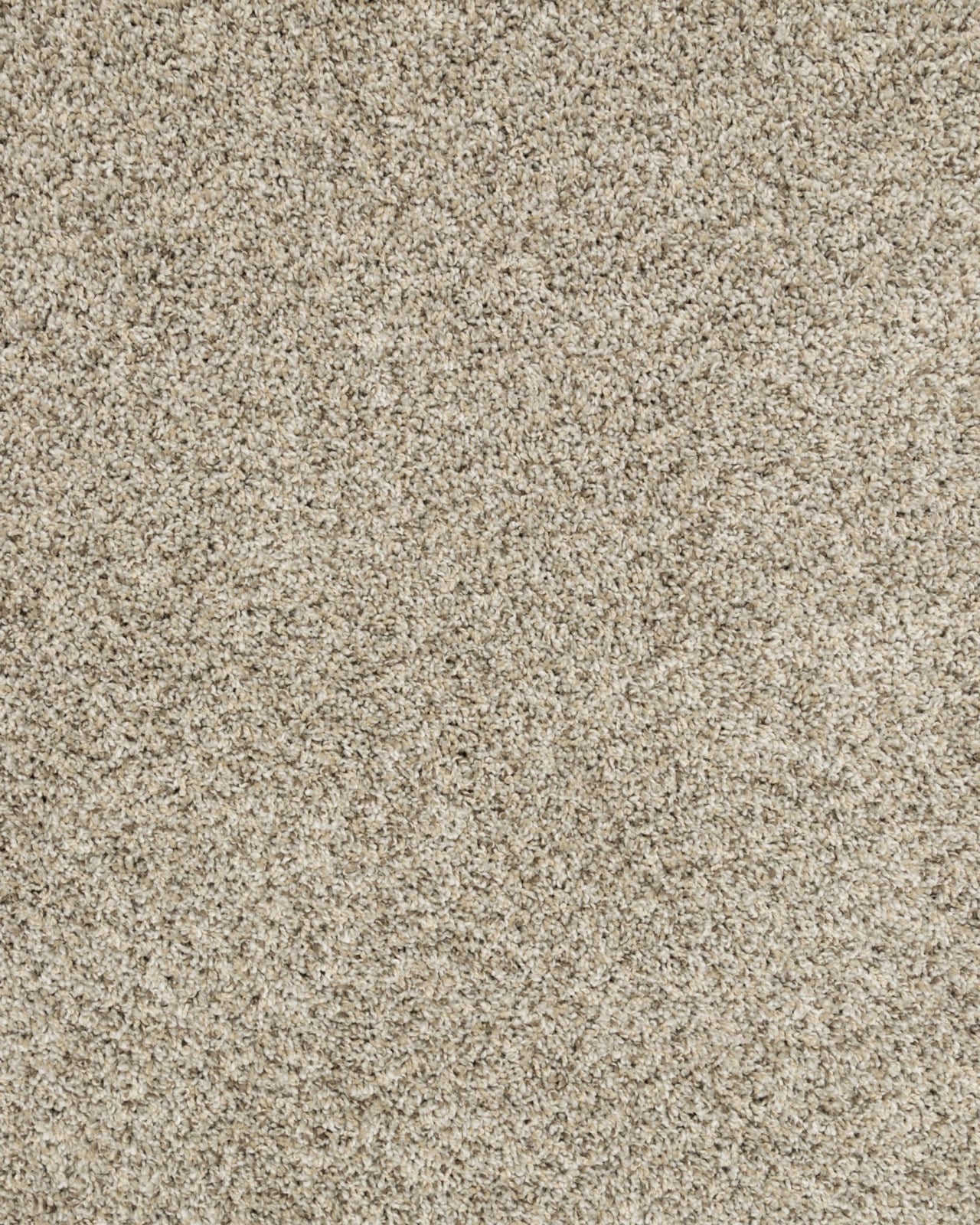 Mohawk Raise The Woof II Pet Friendly 53oz | Carpet Exchange