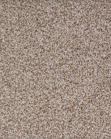 Calm Retreat Kashmere Nylon Textured Carpet