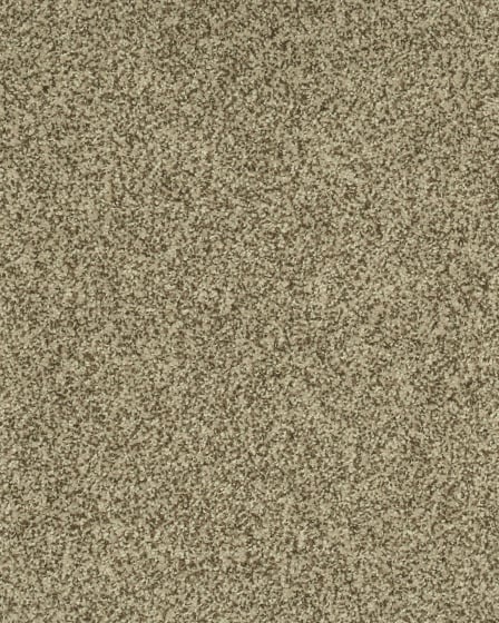 Cherished Tradition Kashmere Nylon Carpet