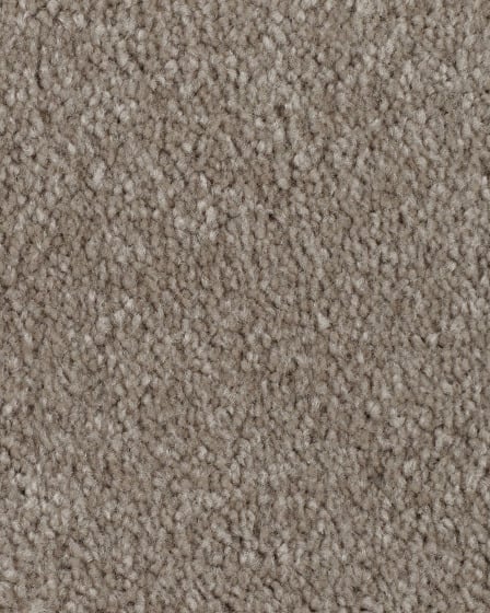Clever Fashion II SmartStrand Textured Carpet