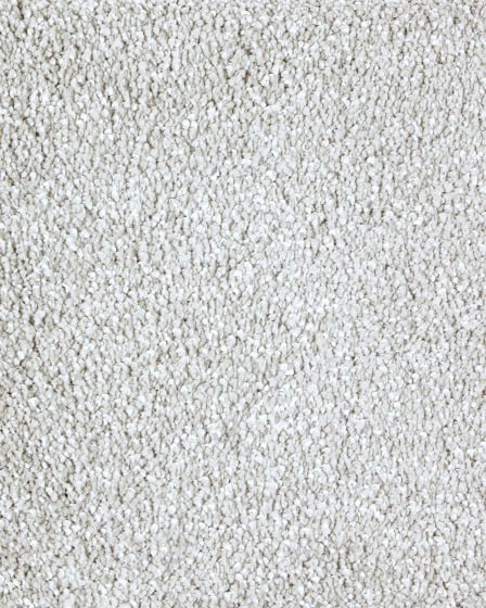 Lavish Approach Textured SmartStrand Carpet