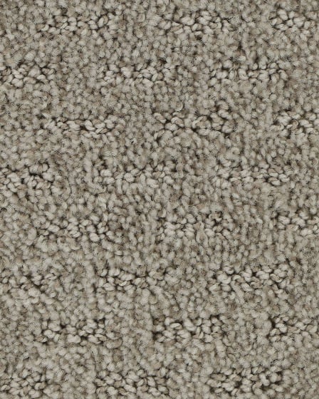 Stylish Attraction Patterned EverStrand Carpet