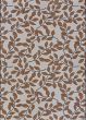 Dolce Summer Ivy Ivory Terracotta Area Rug