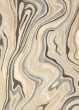 Anastasia 68007 Beige/Charcoal Area Rug