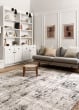 Alchemy ALC-04 Silver/Graphite Area Rug