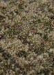 Calisa CS5 Basil Area Rug