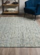 Calisa CS5 Lakeview Area Rug