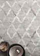 Dorado DB-04 Grey/Grey Area Rug