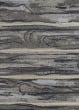 Illusions 6210 Grey Landscape Area Rug