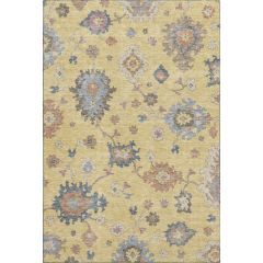 Hatay HY4 Gold Area Rug