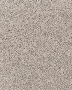 Cherished One Pet Friendly 85oz Carpet
