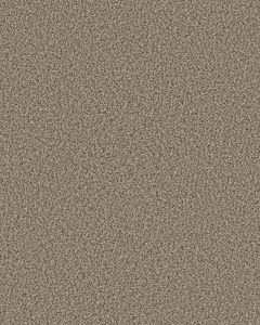 Artistic Fusion I Pet Friendly 43oz Carpet