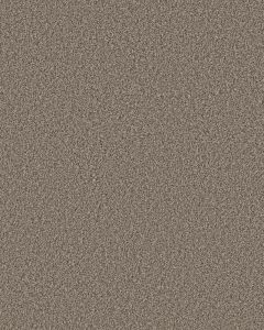 Artistic Fusion II Pet Friendly Carpet