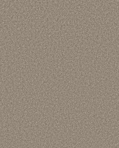 Monumental II 53oz Pet Friendly Textured Carpet