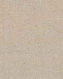Pawsitive T Pet Friendly Textured 40oz Carpet
