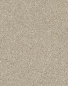 Basic Rules 58oz Textured Pet Friendly Carpet