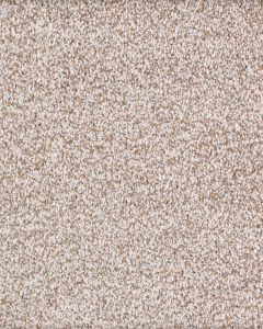 Calm Retreat Kashmere Nylon Textured Carpet