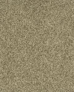 Cherished Tradition Kashmere Nylon Carpet