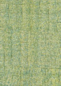 Calisa CS5 Kiwi Area Rug
