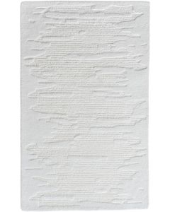 Denali Ivory Reflection Area Rug