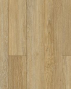 Discovery Ridge SolidTech Essentials Coffee House Tan