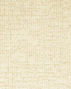 Turner Pond Patterned Nylon Carpet