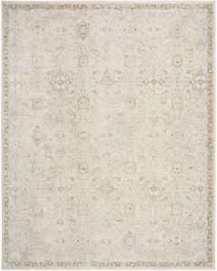 Envy EVV04 Taupe Area Rug