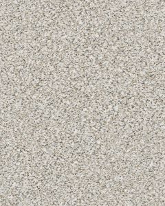 Estes Park Textured Nylon 38oz Carpet