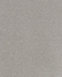 Impressive Shades Textured 50oz Carpet