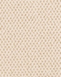 Timeless Effects Patterned 45oz SmartStrand Carpet