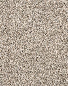 Leon Textured 40oz SmartStrand Carpet