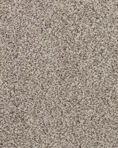 Apollo Bay Textured 45oz SmartStrand Carpet