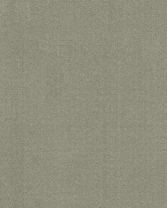 Glamorous Portrait 50oz Anso Nylon Patterned Carpet