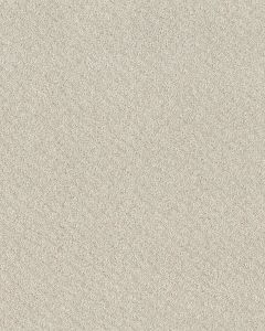 In Style Patterned 34oz Carpet