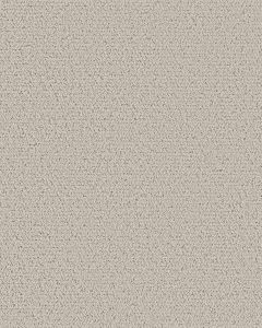 Intricate Trace Pet Friendly 43oz Carpet