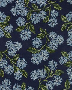 Joie JOI-04 Navy Area Rug