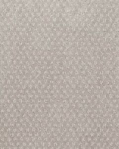Greenwich Style Smartstrand 48oz Carpet