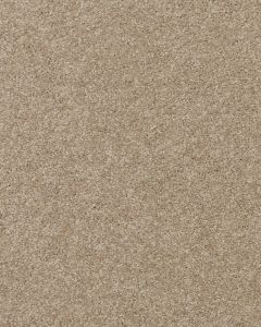 Delicate Shades Textured 70oz SmartStrand Carpet