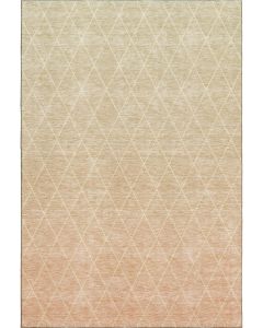 Lazio LZ2 Salmon Area Rug
