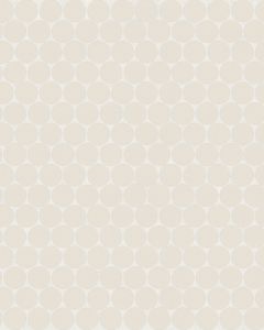 Marin Sand Dollar 3/4" Penny Mosaic Tile