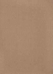 Monaco Sisal MC200 Ecru Area Rug