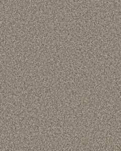 Mirador Textured 73oz Carpet