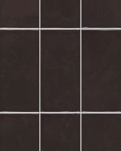 Mural Charbon 6x6 Matte Tile