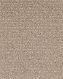 Luxurious Moment Patterned SmartStrand Carpet